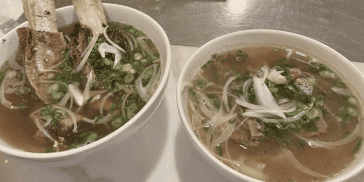Filet Mignon & Fat Brisket pho