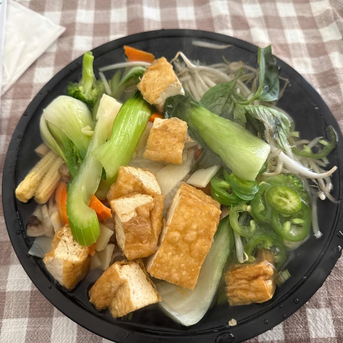 Vegetable Noodle Soup